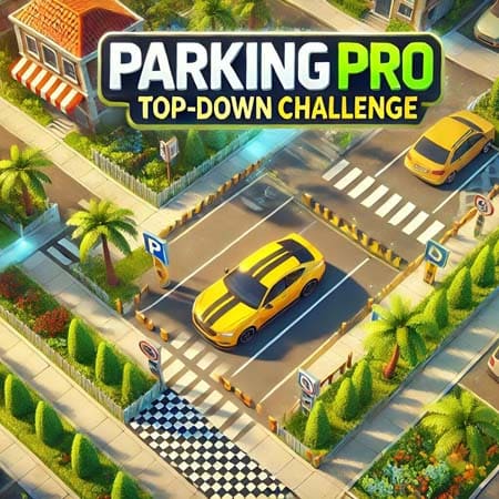 Parking Pro Top-Down Challenge NSP