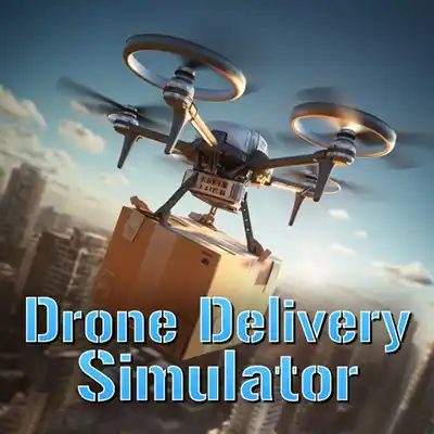 Drone Delivery Simulator Switch NSP