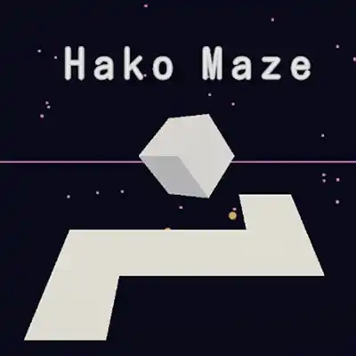 Hako Maze Switch NSP