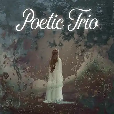 Poetic Trio Switch NSP