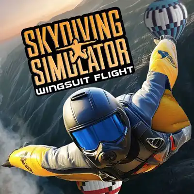 Skydiving Simulator Wingsuit Flight Switch NSP
