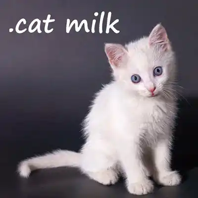.cat Milk Switch NSP