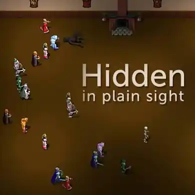 Hidden In Plain Sight NSP