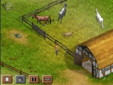 Horse Vet 3D 