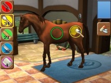 Horse Vet 3D 